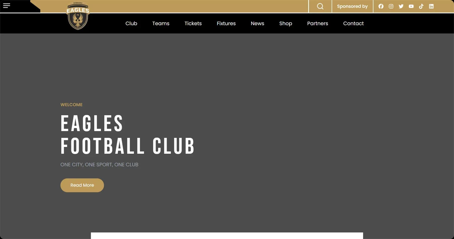 Eagles FC — Football Management & Ecommerce Platform